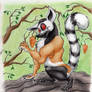 Chasm the lemur and the fruit