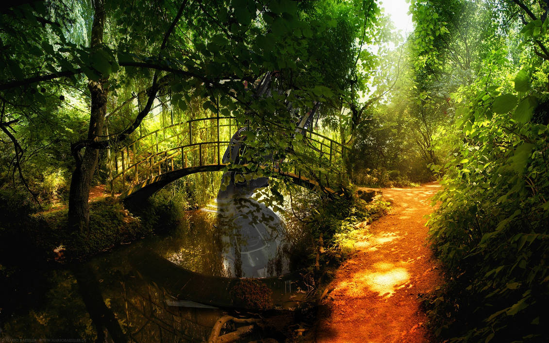 Красивый сток. Сказочная природа. Красивая природа лес. Красивый мост в лесу. Тропинка в лесу.