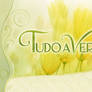 Update: Tudo a Ver on-screen (2005-2007)