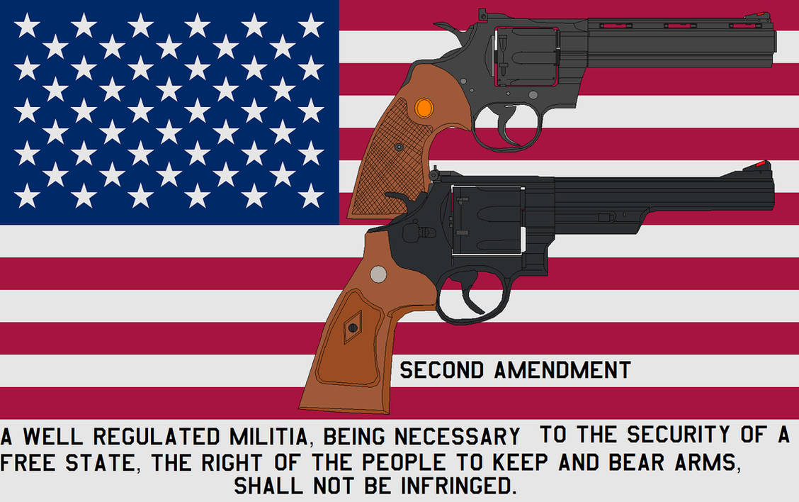 Second Amendment by bagera3005