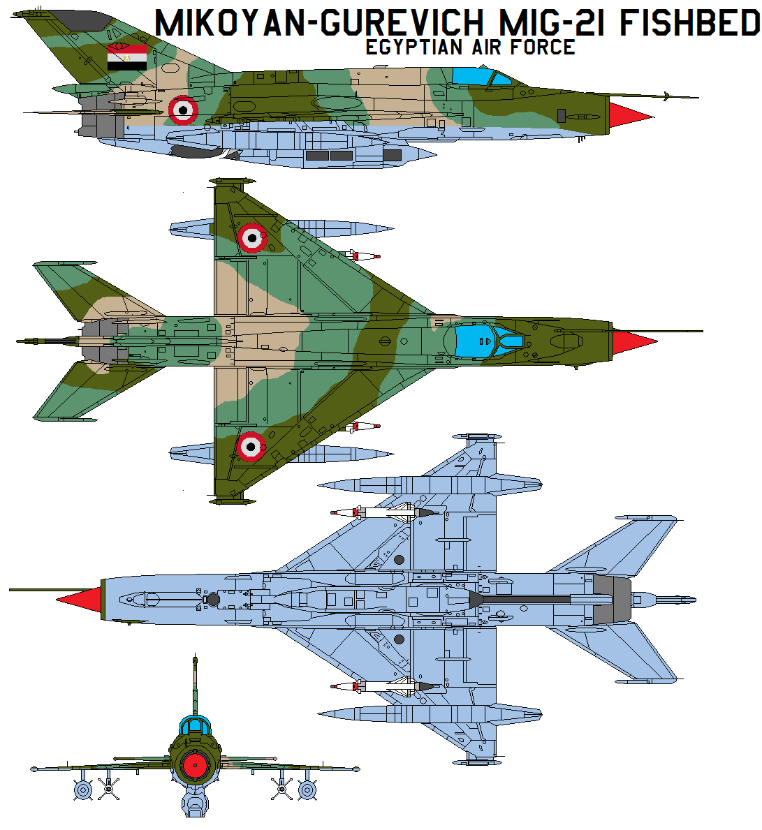 Mikoyan MiG-21 Fishbed EAF