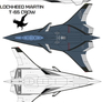 Lockheed Martin T-65 Crow USAF 2