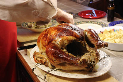 Thanksgiveing Turkey