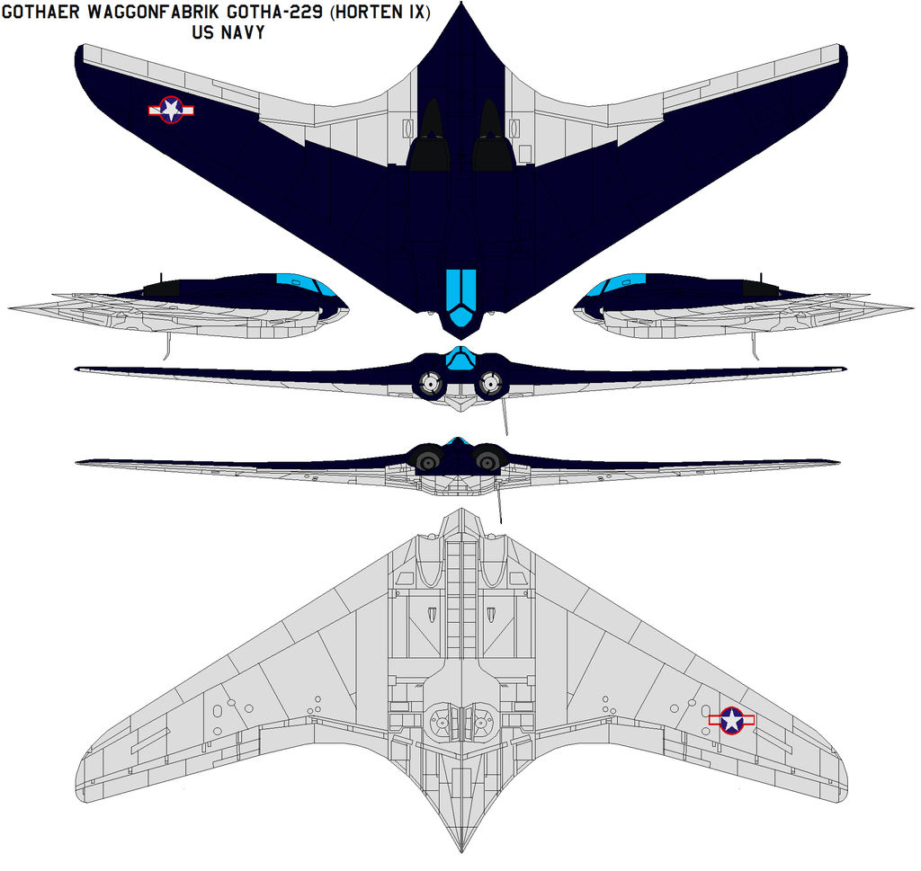 Gothaer Waggonfabrik Gotha-229 (Horten IX) US NAVY