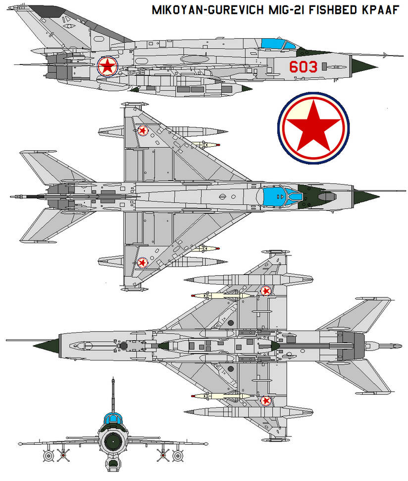 Mikoyan-Gurevich MiG-21 Fishbed KPAAF by bagera3005 on DeviantArt