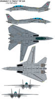 Grumman F-14 Tomcat t squadron vf-1 top gun