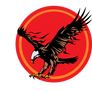 Skystriker logo