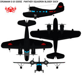 Grumman G-21 Goose  PANTHER SQUADRON bloody duck