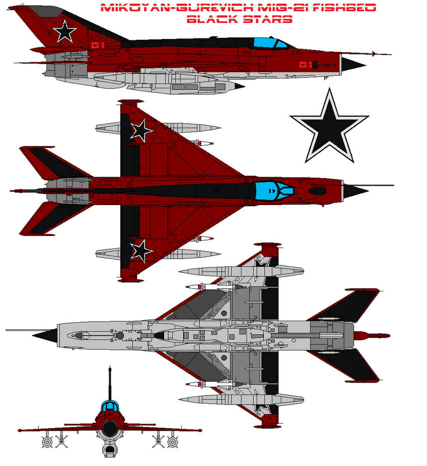 Mikoyan-Gurevich MiG-21 Fishbed Black stars by bagera3005 on DeviantArt