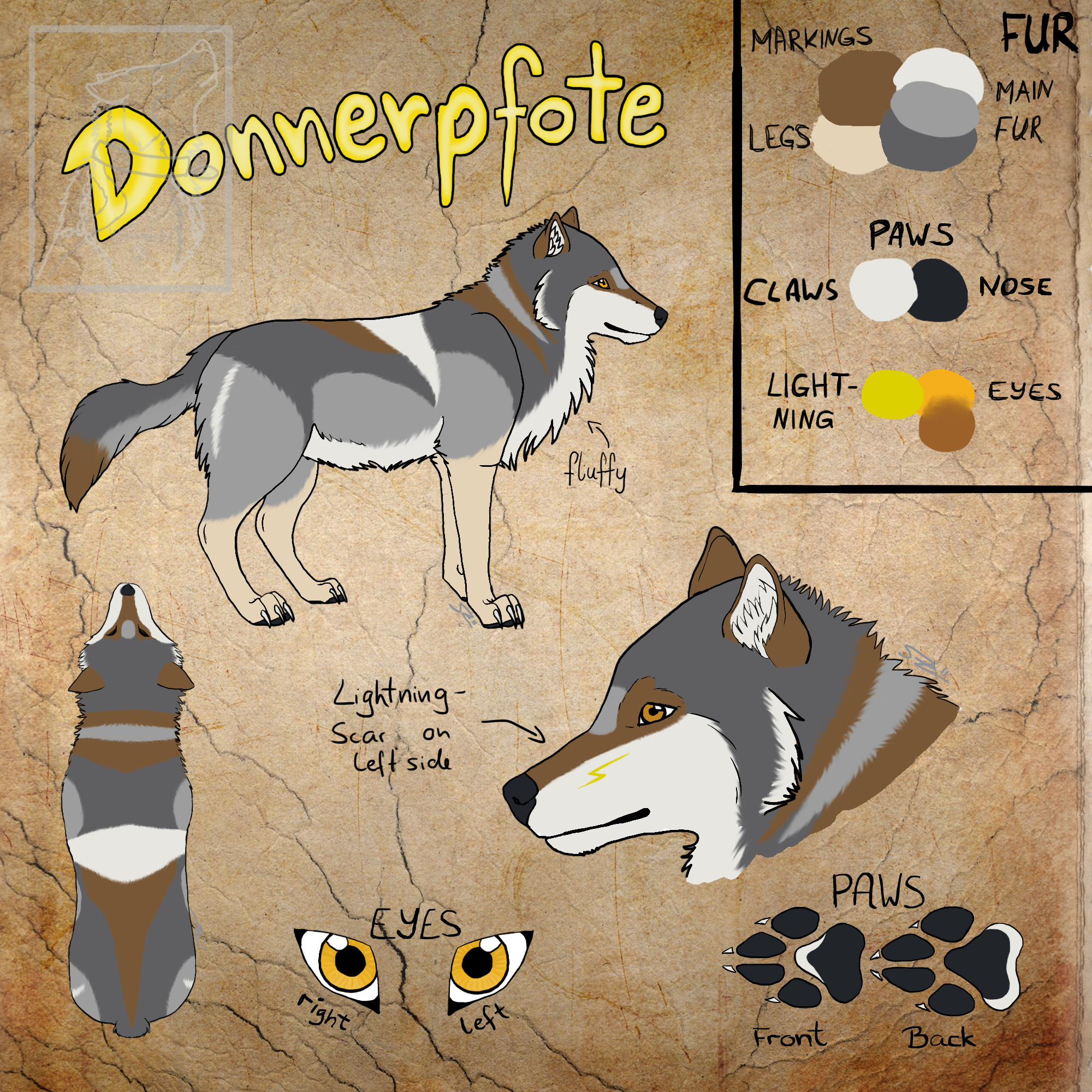 Donnerpfote's Reference Sheet