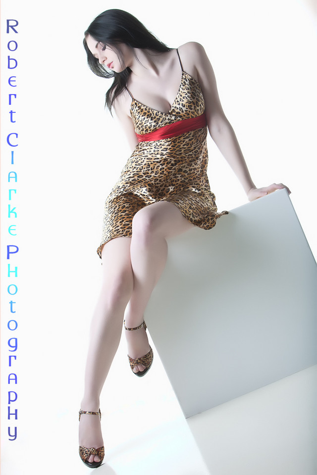 Leopard Print Glamour 3