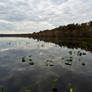 The Lake in Mt Dora 11