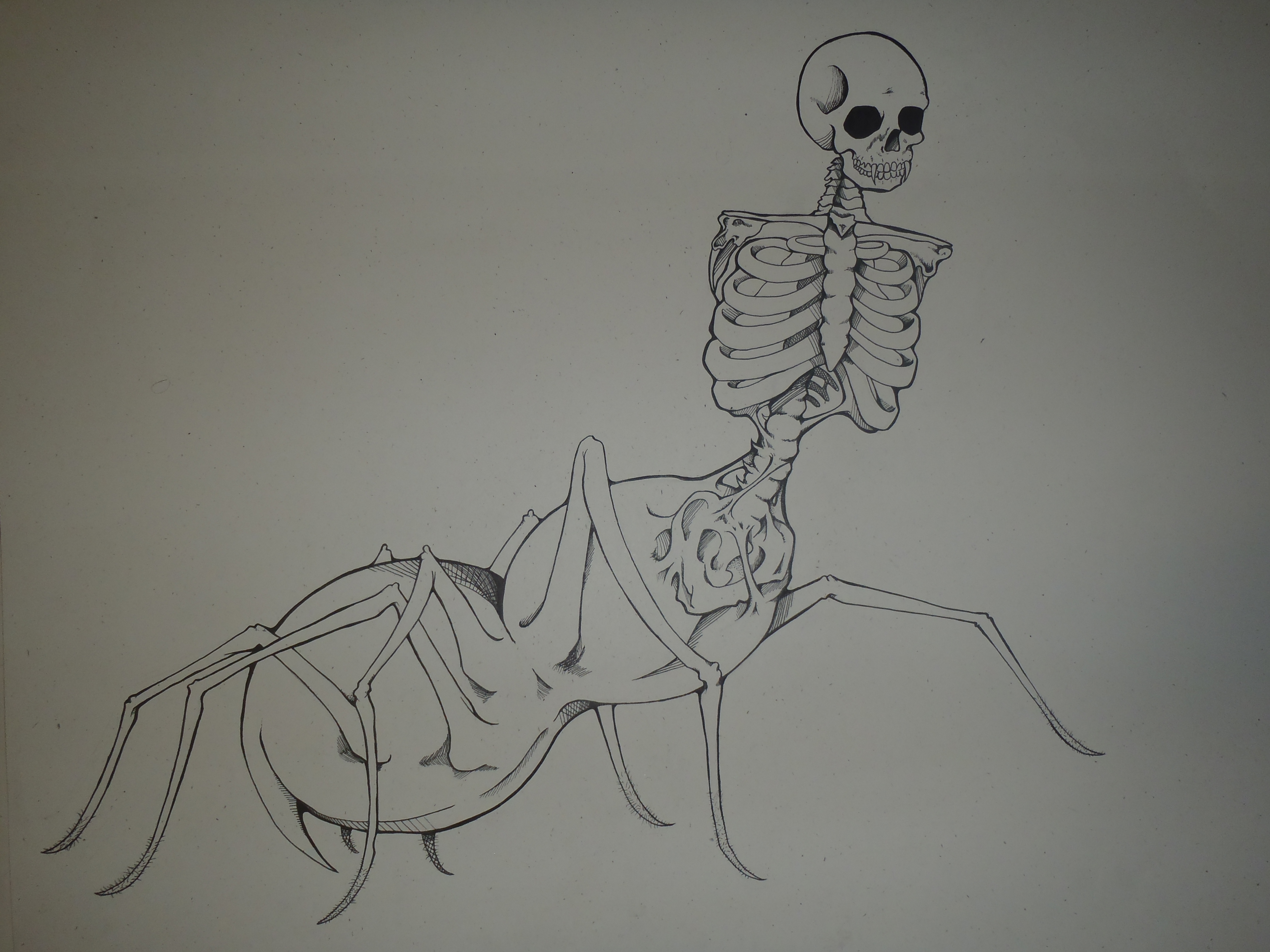 Skeleton Spider