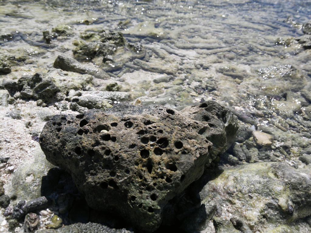 sponge rock by Haneee on DeviantArt