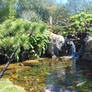 Epcot Japan Pavilion Coy Pond I