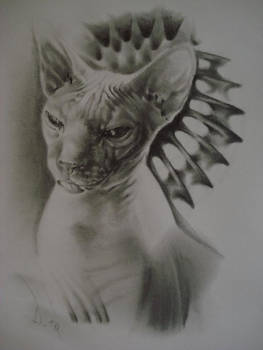 sphynx II