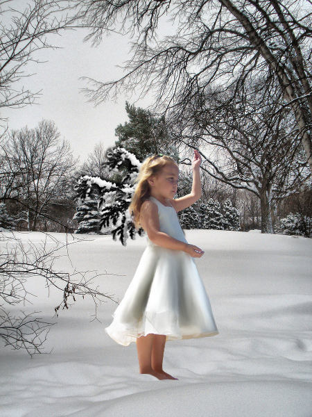 Winter fairy