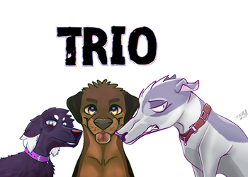 Trio