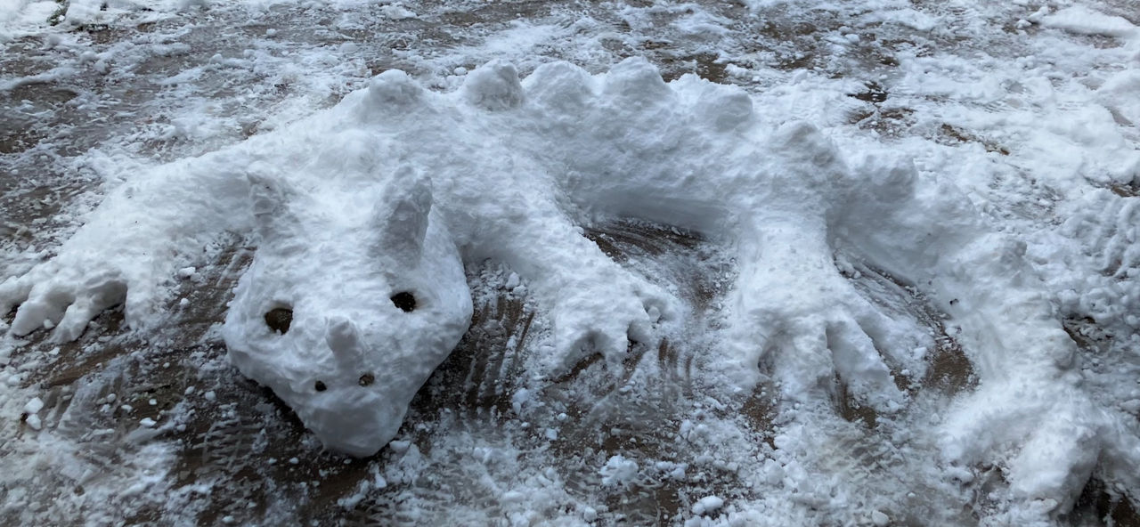 Snow Drake by soundsofspace on DeviantArt