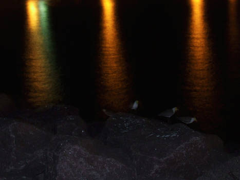 Night light reflection in the water