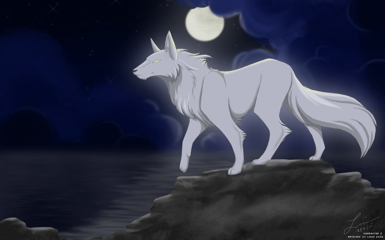 White Wolf - Take 3 by linai on DeviantArt