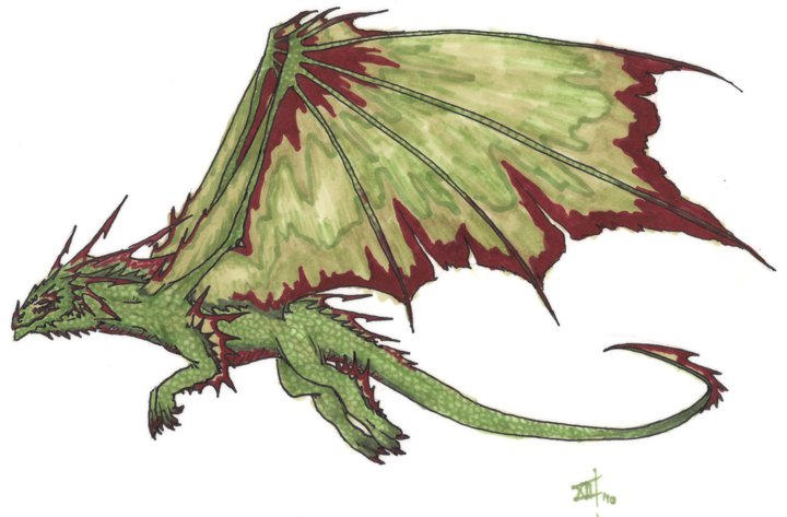 Red and green dragon. by Lukaara on DeviantArt