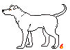 Greyhound Pixel Template