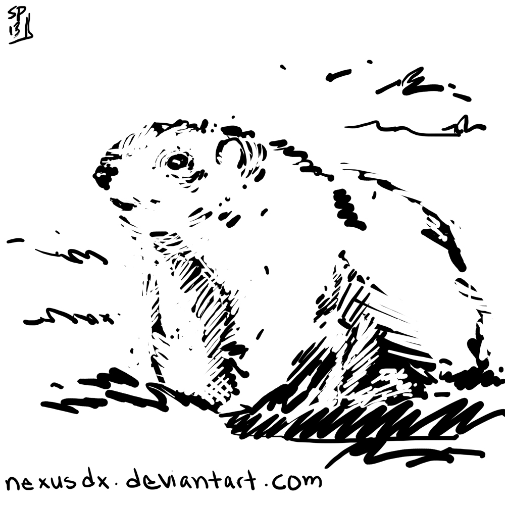 PUNXSUTAWNEY PHIL  DSC