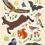 Fauna poster