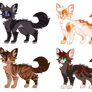 warriors adopts (closed)