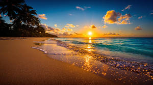 The Beach of your Dreams ** To Support me