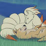 Ninetales and Dingo