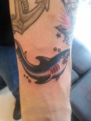 sailor jerry shark