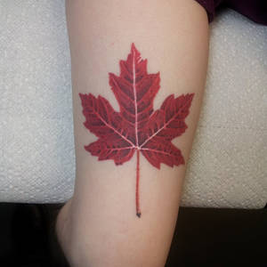 maple leaf