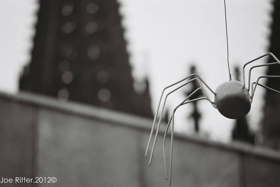 Spider by joeritter on DeviantArt