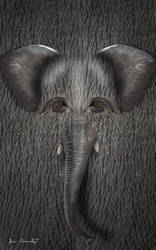 elephant skinRBG