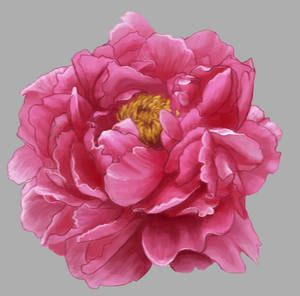 PEONIA