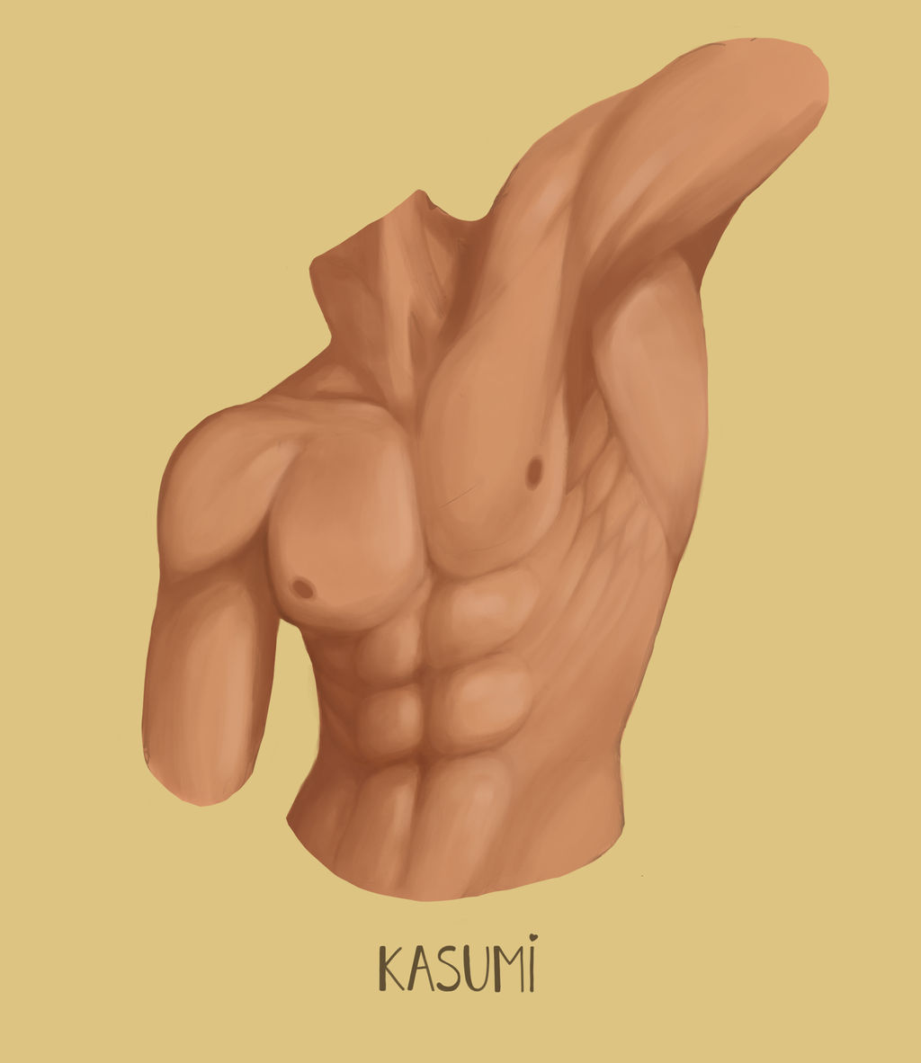 Torso