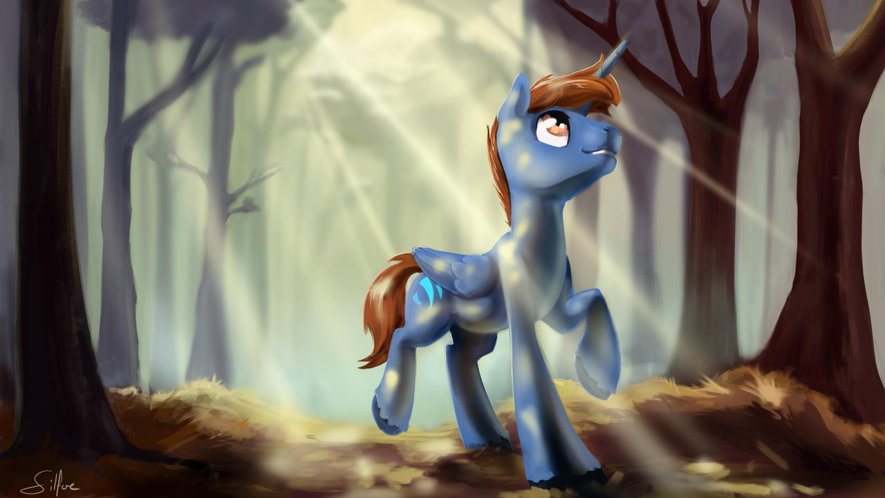 Charity Commission - Forest Walk