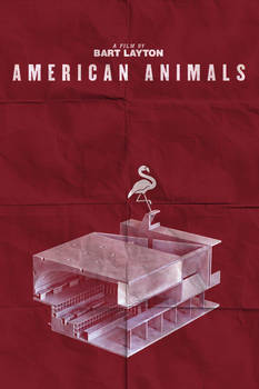 American Animals poster