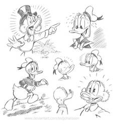 Selected Duck sketches