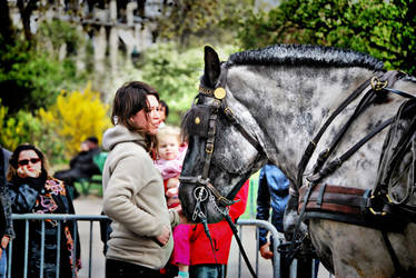 On the streets of Paris