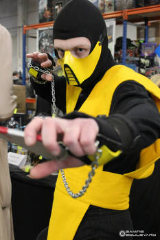 Scorpion cosplay