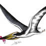 Muzquizopteryx coahuilensis