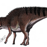 Edmontosaurus annectens