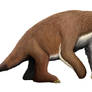 Xibalbaonyx oviceps