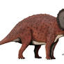 Triceratops prorsus