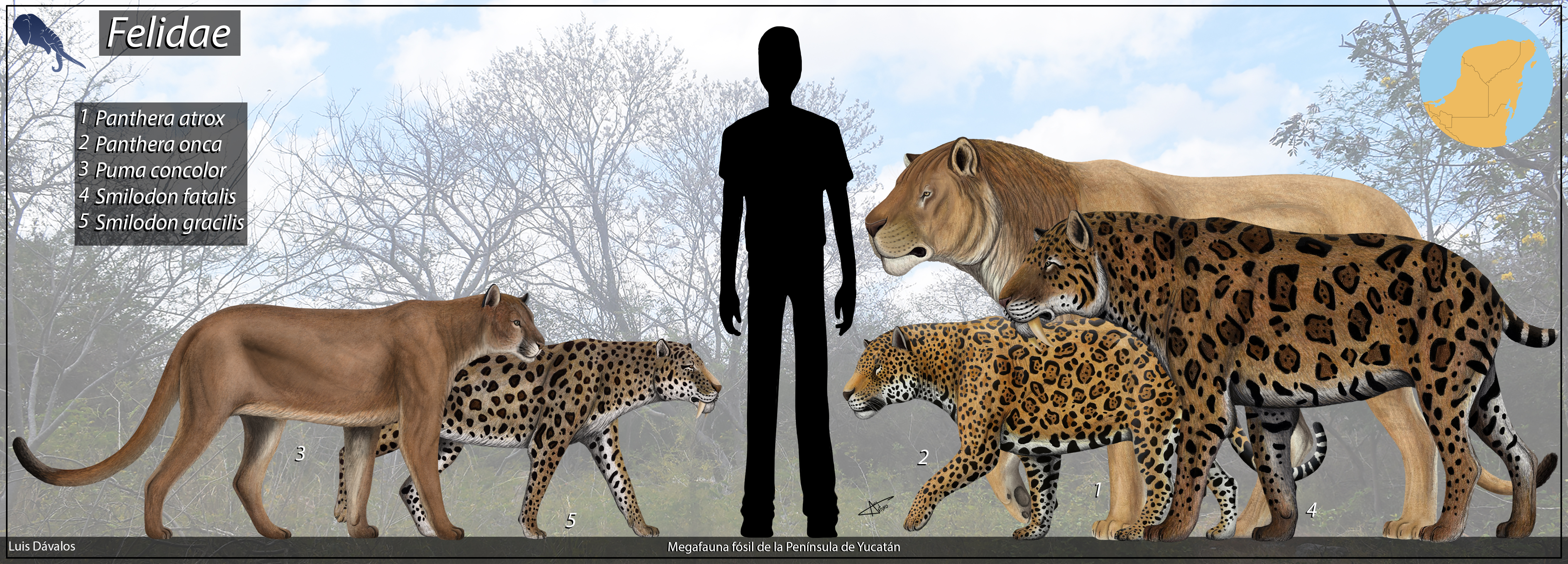 Sarkastodon and Bengal tiger (size comparison) by Rom-u on DeviantArt