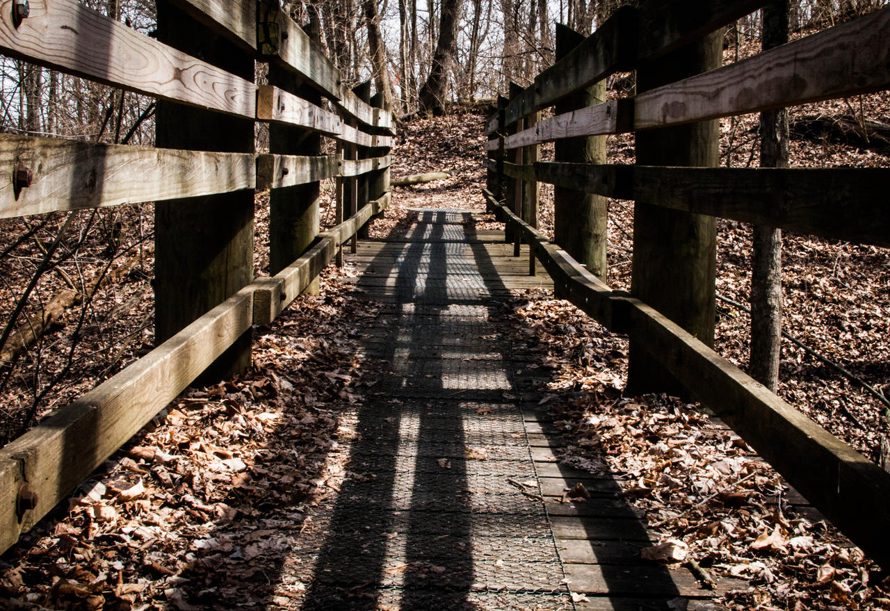 Wood Bridge