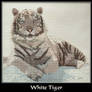 White Tiger Cross Stitch